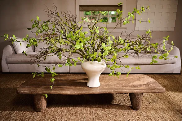 A large white vase sits on a rustic wooden coffee table, holding an intricate arrangement of high-quality silk branches with green leaves. The silk leaves of Silk-ka are meticulously crafted to appear lifelike, capturing the natural texture and vibrancy of real foliage. The arrangement spreads widely, giving a natural and organic feel to the room, which features a beige sofa and natural fiber rug in the background.