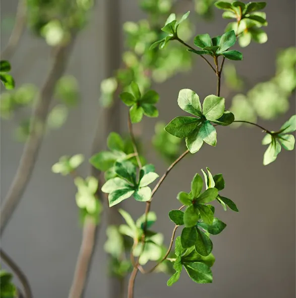 Silk-ka artificial clover branch, a marvel of botanical naturalism. Its delicate leaves, in varying shades of green, spread gracefully along finely crafted stems. Each meticulously designed leaflet captures the texture and luminosity of living clover. This Silk-ka creation combines remarkable precision with subtle elegance, offering a touch of everlasting, maintenance-free nature to brighten any interior with enduring spring charm.
