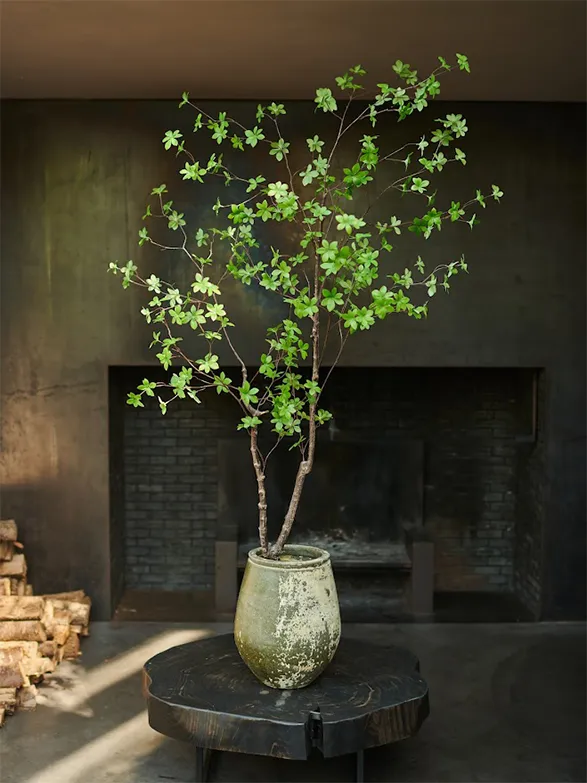 This image features a beautifully crafted silk plant from the esteemed brand Silk-ka. The delicate green leaves, meticulously detailed, mirror the beauty of a real plant, offering a touch of nature without the need for maintenance. Set in an aged, rustic pot and placed on a stylish wooden surface, this artificial plant adds a subtle elegance to any interior space. The serene and minimalist backdrop further emphasizes the high-quality craftsmanship of Silk-ka, making this piece a perfect blend of sophistication and natural charm.