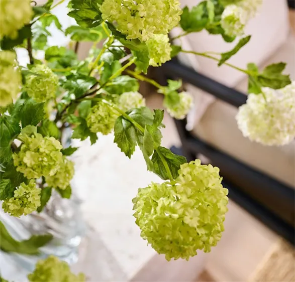 A delicate bouquet of snowball flowers from the esteemed brand Silk-ka gracefully blossoms in the image. These blooms, in a soft and luminous green, evoke the freshness of early spring days. Their floral spheres, resembling gentle verdant clouds, rise elegantly from a barely visible glass vase. Although crafted from silk, these snowballs display a striking realism, capturing with finesse the texture and luminosity of their natural counterparts. The arrangement, both simple and refined, brings a touch of botanical serenity to the interior space, creating an ambiance of vegetal tranquility.