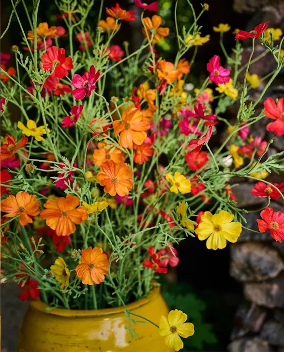A vibrant arrangement of high-quality silk flowers from the renowned brand Silk-ka in shades of orange, yellow, and deep pink is displayed in a glossy yellow ceramic vase. The silk flowers are crafted with intricate detail, mimicking the delicate texture and vibrant colors of real blooms. The flowers, with their thin green stems, create a lively and realistic display, set against a natural background.