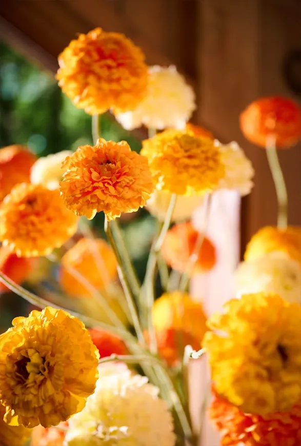Silk-ka's summer bouquet, a burst of warm colors. Artificial carnations with delicate petals in sun-yellow, bright orange, and creamy white hues. Each meticulously crafted flower captures the texture and luminosity of natural carnations. A vibrant arrangement showcasing Silk-ka's artisanal excellence in creating strikingly lifelike silk flowers.