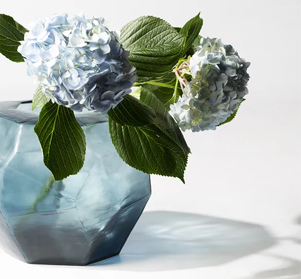 A stunning glass vase by GUAXS, a brand celebrated for its high-quality glass objects crafted by master glassblowers. The vase, with its faceted design and deep blue hue, beautifully captures and reflects light, showcasing the brand's dedication to creating timeless pieces that explore the dynamic interplay of light, color, and form. GUAXS' commitment to artisanal craftsmanship is evident in the elegance and precision of this exquisite piece.