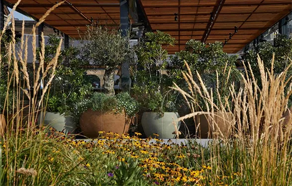 Lush rooftop garden adorned with Atelier Vierkant's iconic planters. Robust, earthy-toned clay vessels house mature trees and shrubs, harmonizing with a vibrant wildflower meadow. The Belgian brand's sculptural pots exemplify their commitment to blending artisanal craftsmanship with natural aesthetics in urban landscapes.
