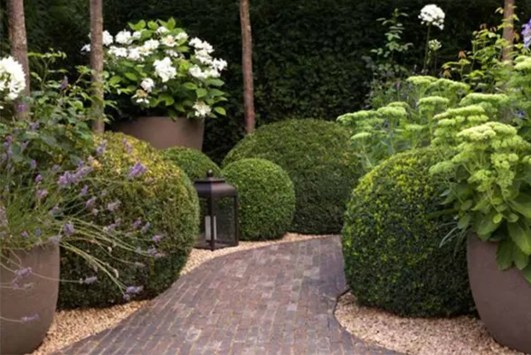 Atelier Vierkant, established in Belgium in 1992, is renowned for its handcrafted ceramic planters that blend functionality with artistic expression. Each piece is individually made, reflecting the brand's dedication to quality and uniqueness. The planters in the image exemplifie their signature style - clean lines and a neutral palette that enhance rather than overshadow the plant life they contain.