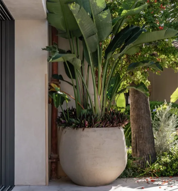 Atelier Vierkant is known for creating handcrafted clay planters that often become integral elements of architectural and landscape designs. Their products are characterized by organic shapes, subtle textures, and a palette inspired by natural hues. The brand's philosophy emphasizes the marriage of form and function, producing pieces that not only serve as containers for plants but also as artistic statements that enhance both indoor and outdoor environments.