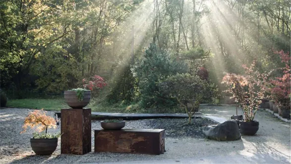 Ethereal woodland garden featuring Atelier Vierkant's artisanal planters. Sunbeams filter through trees, illuminating sculptural clay vessels in various sizes and shapes. The Belgian brand's pots, with their organic forms and earthy tones, blend seamlessly with nature, showcasing Atelier Vierkant's mastery in merging art with landscape design.